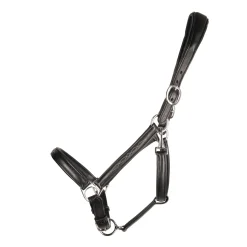 ProPresicce Softy Leather Head Collar by Hy Equestrian