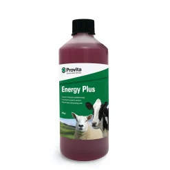 Provita Energy Plus