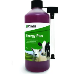 Provita Energy Plus