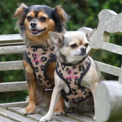 Shires Digby & Fox Leopard Print Harness