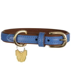 Shires Digby & Fox Padded Leather Dog Collar