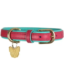 Shires Digby & Fox Padded Leather Dog Collar