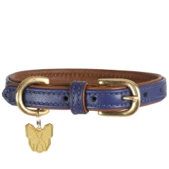 Shires Digby & Fox Padded Leather Dog Collar