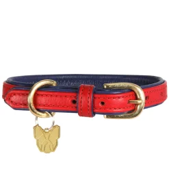 Shires Digby & Fox Padded Leather Dog Collar
