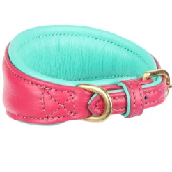 Shires Digby & Fox Padded Greyhound Collar