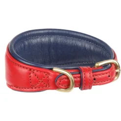 Shires Digby & Fox Padded Greyhound Collar