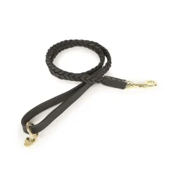 Shires Digby & Fox Plaited Dog Lead