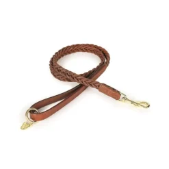 Shires Digby & Fox Plaited Dog Lead