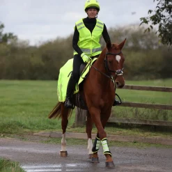 Shires EQUI-FLECTOR® Safety Vest