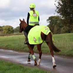 Shires EQUI-FLECTOR® Safety Vest