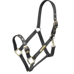 Shires ARMA Adjustable Headcollar