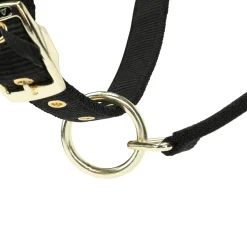 Shires ARMA Padded Headcollar