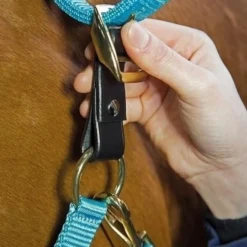 Shires Aviemore Headcollar Breakaway Attachment
