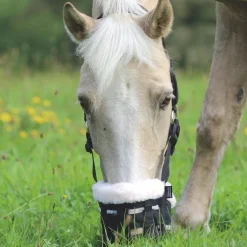 Shires Deluxe Comfort Grazing Muzzle