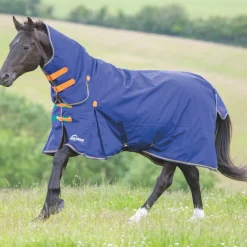 Shires Highlander Original 100g Combo Turnout Rug