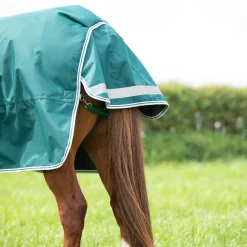 Shires Highlander Original 300g Turnout Rug