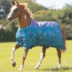 Shires Highlander Original 200g Turnout Rug