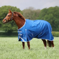 Shires Highlander Original 200g Turnout Rug