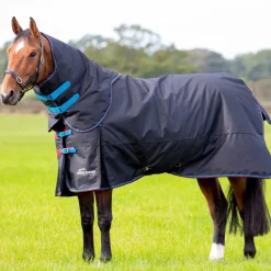 Shires Highlander Original 200g Turnout Rug & Neck