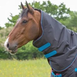 Shires Highlander Original 200g Turnout Rug & Neck