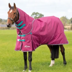 Shires Highlander Original 300g Turnout Rug & Neck