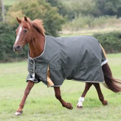 Shires Highlander Plus 50g Turnout Rug