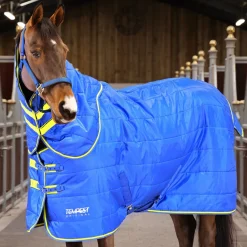 Shires Tempest Original 100g Stable Set