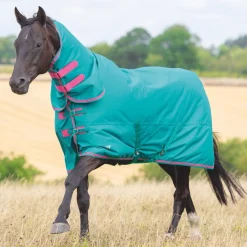 Shires Tempest Original 100g Turnout Combo Rug