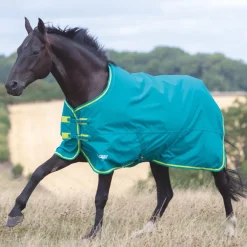 Shires Tempest Original 50g Turnout Rug