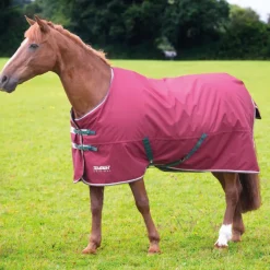Shires Tempest Original 200g Turnout Rug