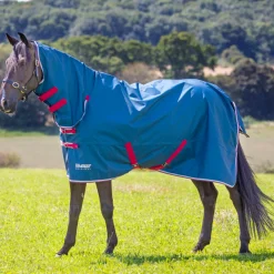 Shires Tempest Original Lite Turnout Combi Rug