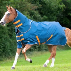 Shires Tempest Original Lite Turnout Rug with Detachable Neck