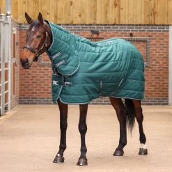 Shires Tempest Original 200 Stable Combo