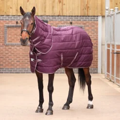 Shires Tempest Original 300 Stable Rug & Neck Set