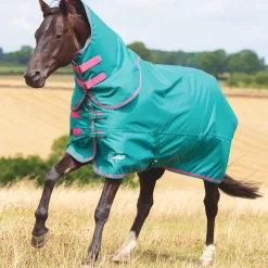 Shires Tempest Original 100 Turnout Rug with Detachable Neck