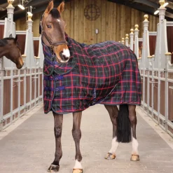 Shires Tempest Plus 100g Stable Combo