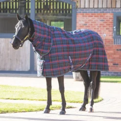 Shires Tempest Plus 100g Stable Combo