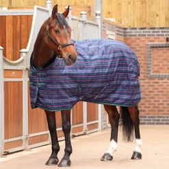 Shires Tempest Plus 100g Stable Rug