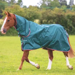 Shires Typhoon Lite Combo Turnout Rug