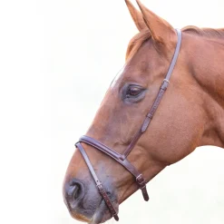 Shires Velociti GARA Flash Noseband
