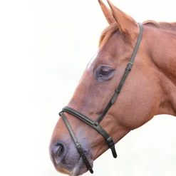 Shires Velociti GARA Flash Noseband