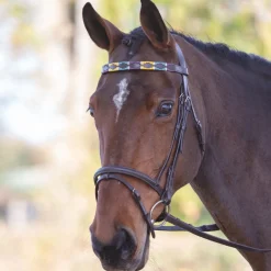 Shires Velociti GARA Leather Polo Browband