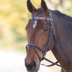 Shires Velociti GARA Leather Polo Browband