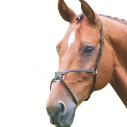 Shires Velociti GARA Mexican Noseband