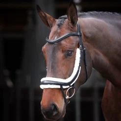 Shires Velociti Rapida Fleece Curved Flash Noseband