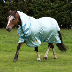 Shires Winnie & Me Fly Combo Rug