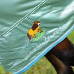 Shires Winnie & Me Fly Combo Rug