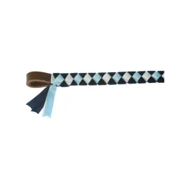 ShowQuest Epson Browband