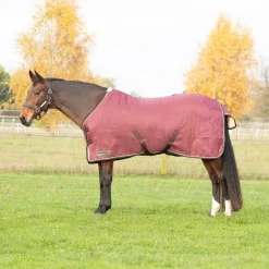 StormX Original Luxury Show Rug
