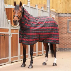 Tempest Plus 200g Stable Combo Rug